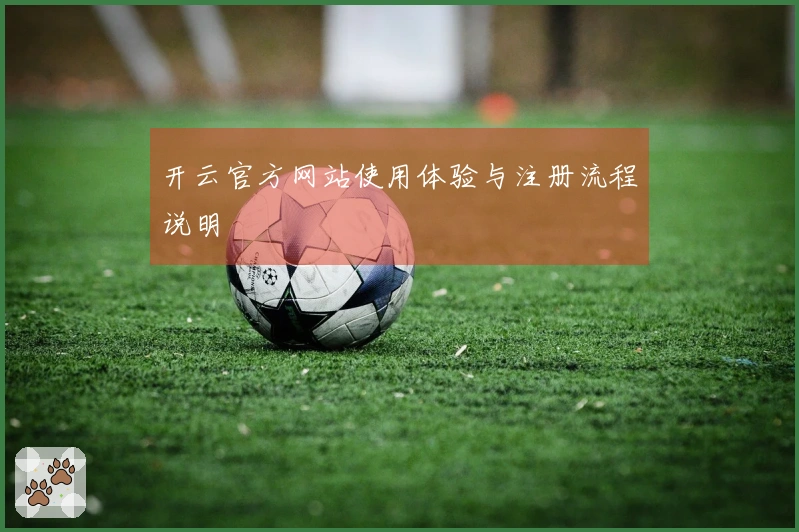 开云官方网站使用体验与注册流程说明